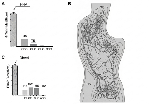 بالاخره استراتژی مکارانه HIV برای قایم شدن تو بدن ما فاش شد